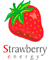 STRAWBERRY DRVO – JAVNI SOLARNI PUNJAČ MOBILNIH TELEFONA