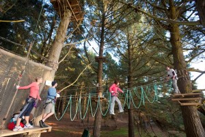 Adrenalin parks - high rope courses