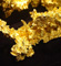 An Australian digs up 5.5 kg of gold