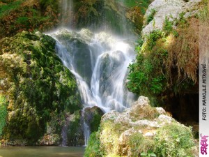 Serbia / photo: Manojle Mitrovic