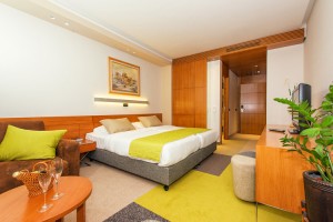 Hotel Zlatibor Mona room