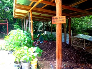 Organic composting system The Harmony Hotel Costa Rica