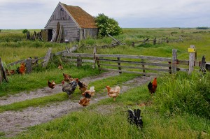 Rural Old farmhouse