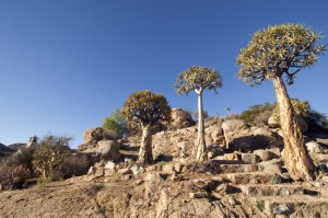 Tourist-attraction-Northern-Cape