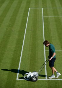 Wibledon - Court preparations