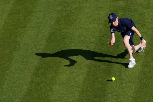 Wimbledon Ball-boy
