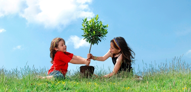 Corporate Social Responsibility - tree planting