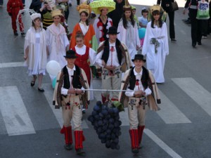 Dani berbe grozdja Vrsac