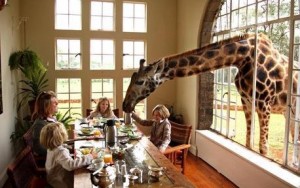 doručak sa žirafom