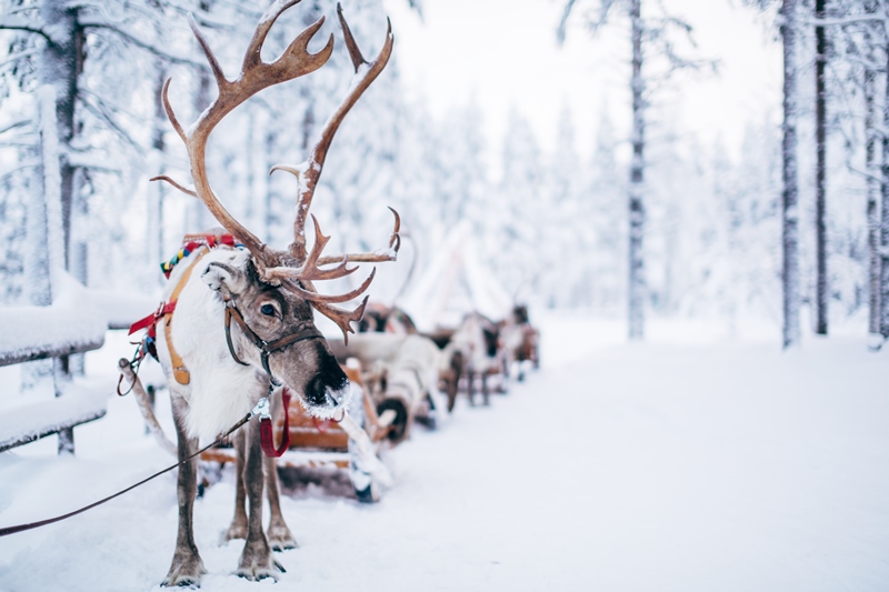 Copyright: Visit Rovaniem i/ Rovaniemi Tourism & Marketing Ltd.